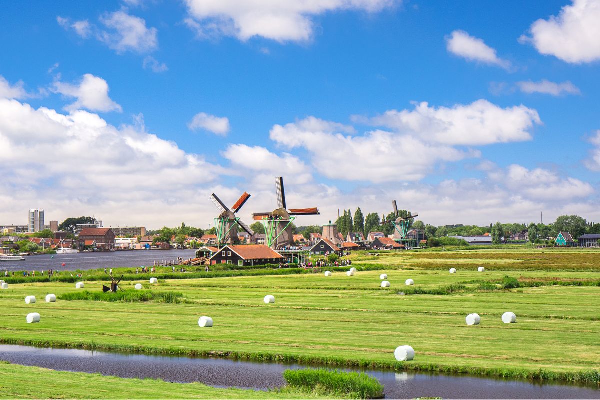 Bekijk de afbeelding in een volledig scherm